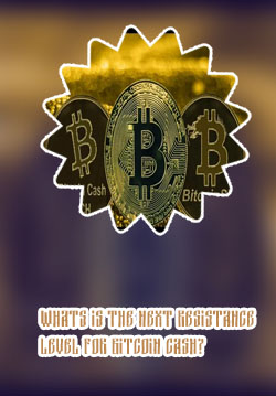 Bitcoin cash projection