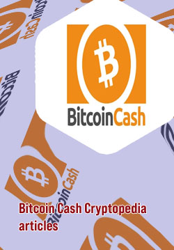 Bitcoin cash to usd