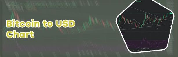 Bitcoin price converter to usd