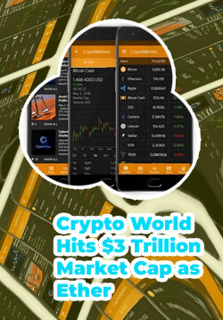 Cryptomarket cap