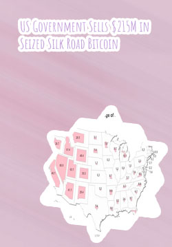 How much bitcoin does the us government own