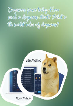 How much is a dogecoin share