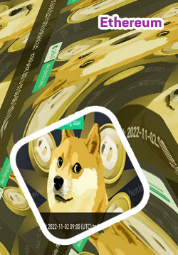 Is dogecoin on binance us