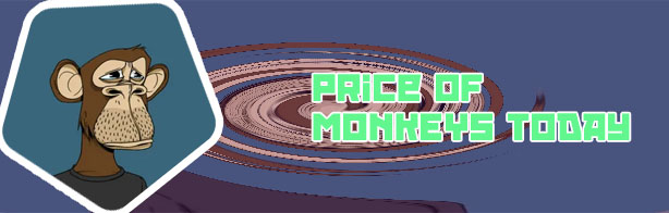 Monkey crypto
