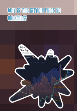 What was bitcoins first price